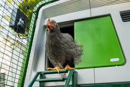Omlet Smart Automatic Chicken Coop Door (WiFi)