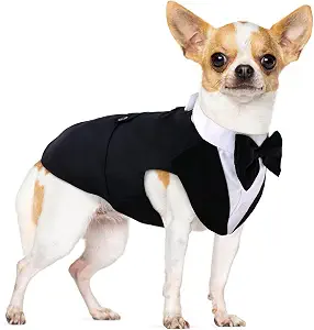Small Dog Bowtie Tuxedo Suit, Cat Tuxedo & Bandana Set for Chihuahua, Boston Terrier, Bichon, Corgi, Pomeranian