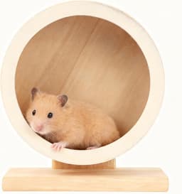 Wooden Hamster Wheel 5.7 Inch (S size)