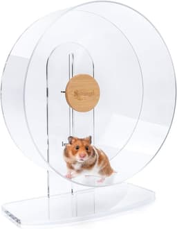 Niteangel Silent Hamster Exercise Wheel - Dual-Bearing Quiet Spinning Acrylic Wheel (Large)