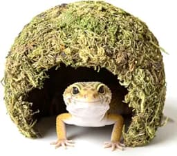 Snake Hide & Reptile Cave, Coconut Moss Terrarium Decor, 5.5"