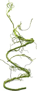 Pangea Reptile Ultimate Vine for Terrarium Habitat (Green)