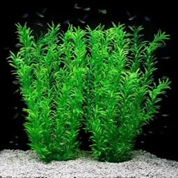 Extra Large Artificial Aquarium Plant, 21 in
