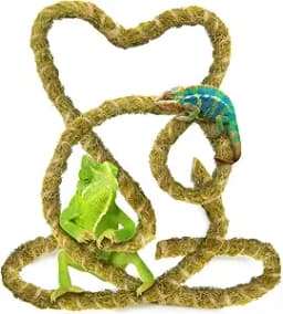 Duspro 10FT Reptile Vines for Climbing, Bendable Branch for Reptile (Natural Moss)