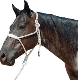 Cashel Flat Braid Halter and Leadrope