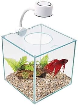 Marina CUBUS Glass Betta Kit (0.9 Gallon)