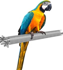 KATUMO Parrot Perch - Stainless Steel African Grey Perch