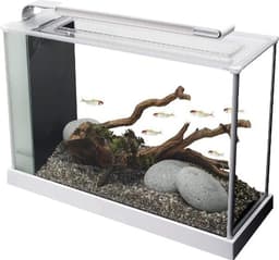 Fluval Spec V Aquarium Kit (5 Gallon)