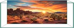 Reptile Background Film, Static Cling, Glue-Free, Desert