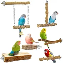 Bird Perches, 6pcs Natural Wood Birds Stand Branch Set