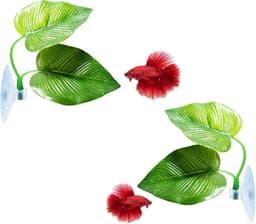 CousDUoBe 2 Pack Betta Fish Leaf Pad, Natural Resting Area for Fish Aquarium