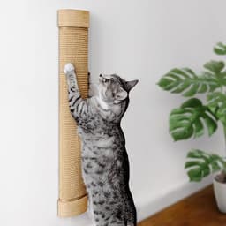 7 Ruby Road Wall Mounted Cat Scratcher, Replaceable Sisal Scratching Post | For Indoor Cats & Large Breeds — 29.5" Tall, Solid Pine with Natural Woven Sisal, No Glue or Staples, Easy Wall Mount