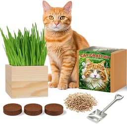 Cat Grass Kit Indoor Cats - Cat Grass Growing Kit with Wooden Planter, 3 Plantings
