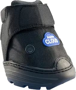 Easyboot Cloud (1)