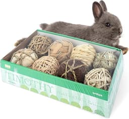 andwe Small Animals Play Activity Balls Rolling Chew Toys (Pack of 8)