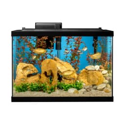 Tetra Complete 20 Gallon Fish Tank Kit