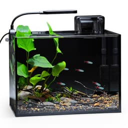 NICREW 2.5 Gallon Nano Nature Aquarium Kit, Betta Fish Tank