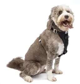 Kurgo Enhanced Strength Tru-Fit Dog Car Harness, X-Large