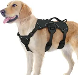 rabbitgoo Escape Proof Dog Harness for Large Dogs, No Pull with Lift Handle