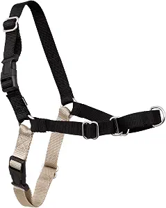 PetSafe Easy Walk Harness, No Pull Dog Harness, Medium