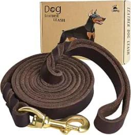 LWBMG Leather Dog Leash, 6ft x 3/4in, Braided Genuine Leather