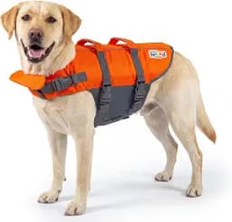 Outward Hound Granby Splash Dog Life Jacket, Orange, Large