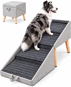 Dog Ramp for Small & Large Dogs, 2-in-1 Ramp/Stool, 19" H