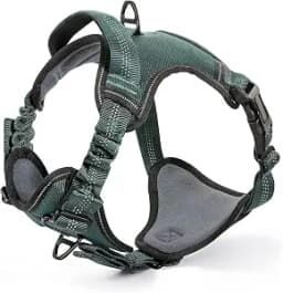 rabbitgoo Dog Harness, No Pull Dog Vest for Large Dogs with Bungee Shoulder Straps
