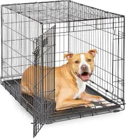 MidWest 36-Inch Single Door iCrate, for Medium-Large Breeds