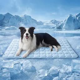 Bedsure ArcticMax Cooling Mat for Large Dogs, Q-Max>0.5