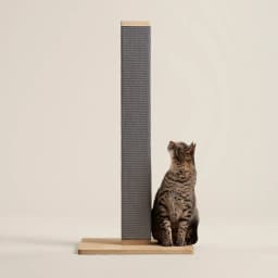 Zip Scratching Post