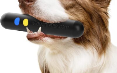 Product Roundup: The Best Dog Chew Toys for Aggressive Chewers in 2025