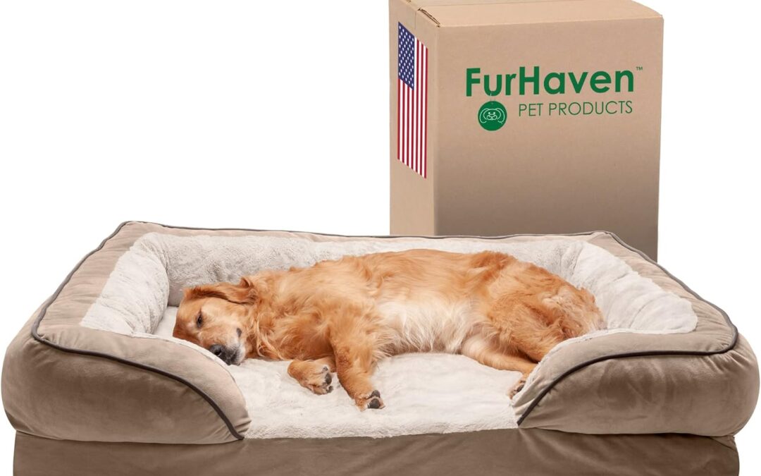 Luxury Dog Products: The Best High-End Picks for Your Pampered Pup