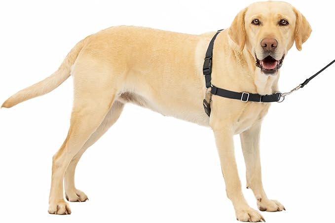 nopullharness