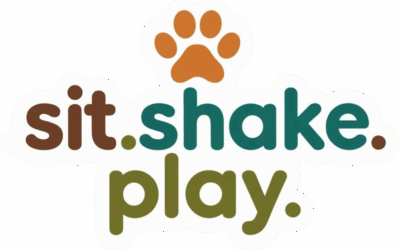 Welcome to Sit Shake Play – Your Trusted Guide to Everything Dogs!