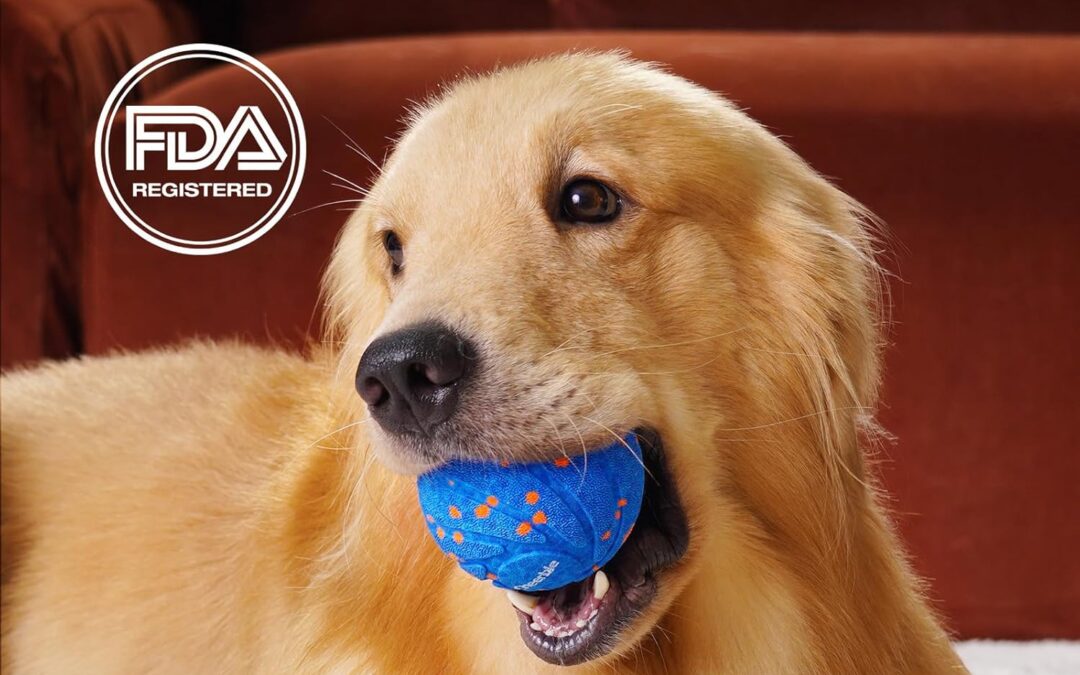 Top Luxury Battery Operated Dog Toys for Happy Dogs