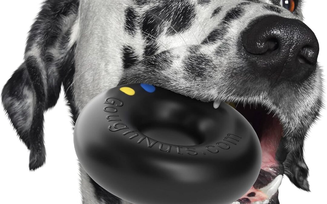 How to Choose Safe Battery Operated Dog Toys