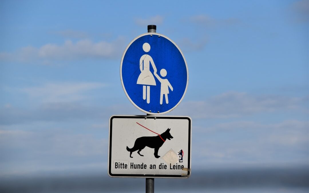 Best Dog GPS Trackers: Keep Your Furry Friend Safe