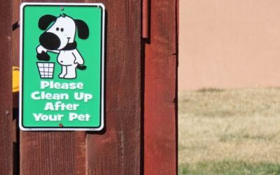 Best Dog Poop Bags 2024: Ultimate Buyer’s Guide